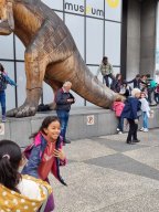P5 - Musée des Sciences naturelles